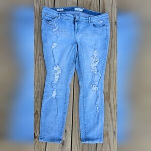 Torrid Distressed Light Blue Women's Jeans